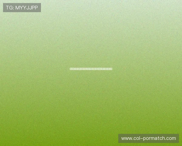埃及对阵伊朗比赛中门将扑救次数影响比赛结果的关键因素分析